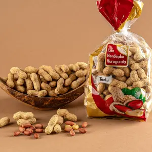 Tuzlu Kabuklu Fıstık 500 g