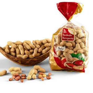 Tuzlu Kabuklu Fıstık 500 g