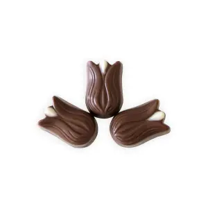 Lale Special Çilek Dolgulu Çikolata