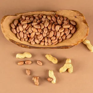 Çiğ Fıstık İçi