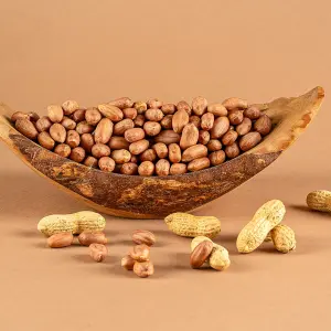 Çiğ Fıstık İçi