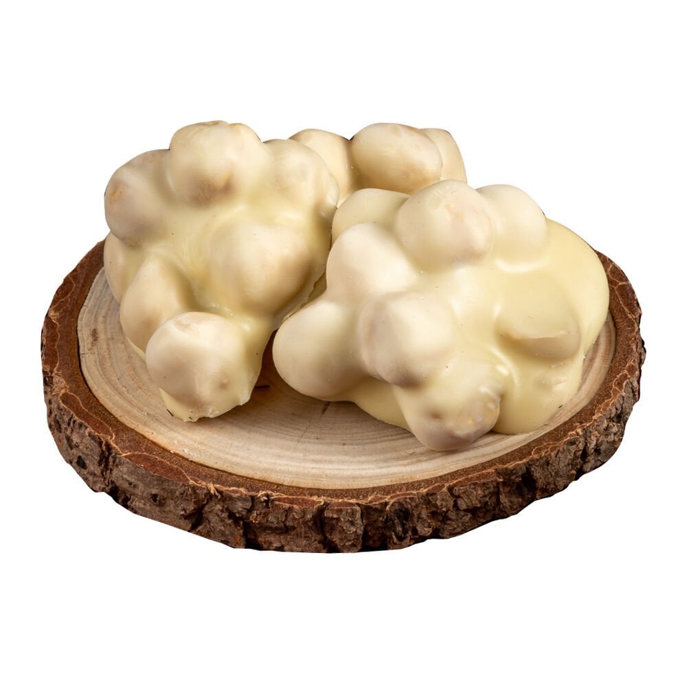 Roche Fildişi Fındıklı