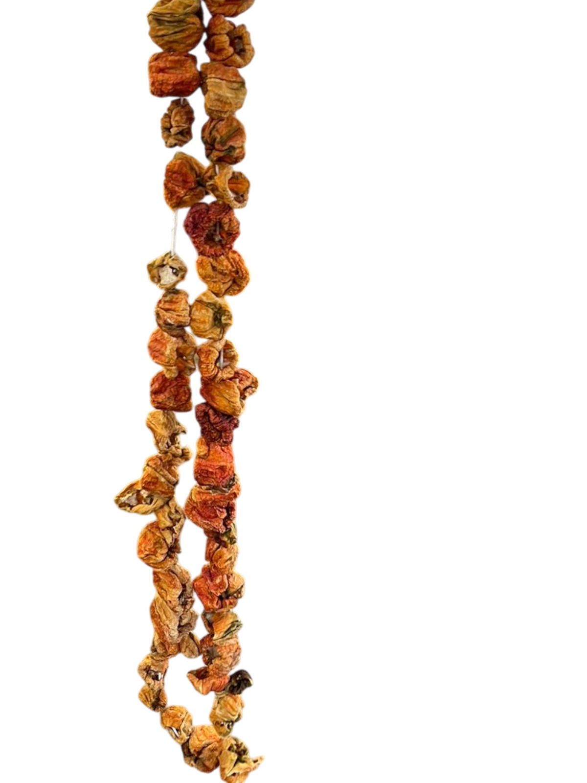 Dizi Kızartmalık Biber