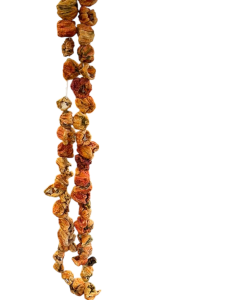 Dizi Kızartmalık Biber