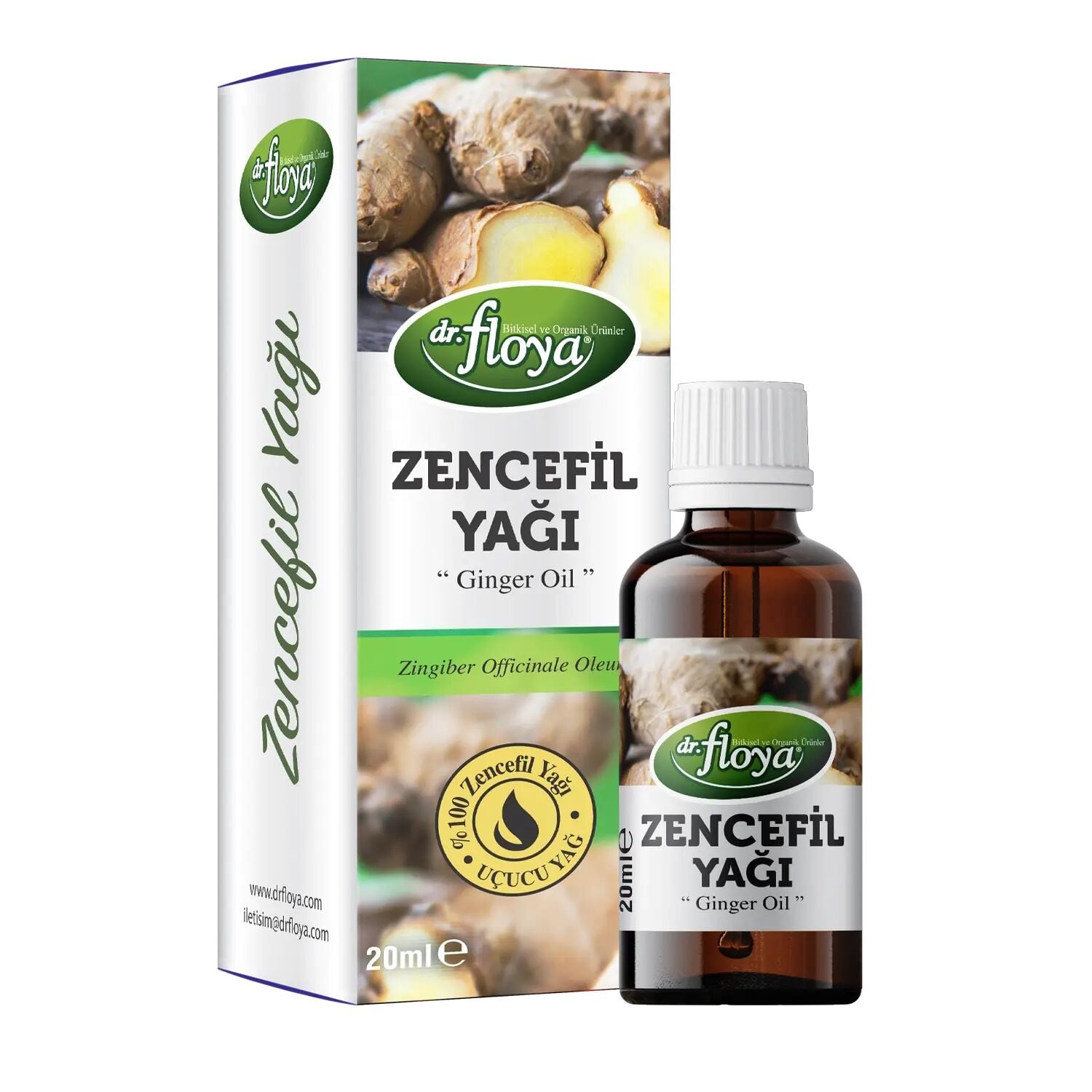 Dr Floya Zencefil Yağı 20 mL